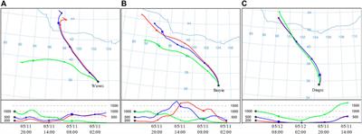 Comprehensive Analysis of a Dust Storm by a Lidar Network Combined With Multiple Data
